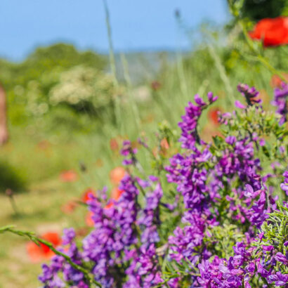 Pays de Sault: wandeling langs drie dorpen